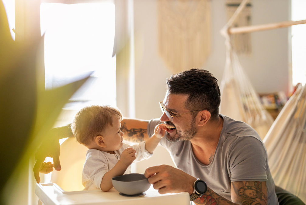 family lawyer services